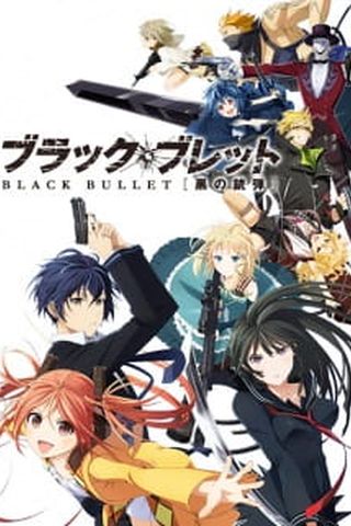 Poster Black Bullet