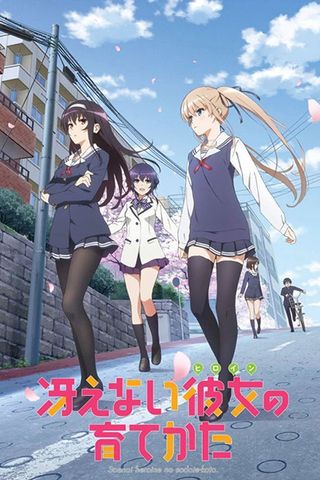 Poster Saenai Heroine no Sodatekata S1